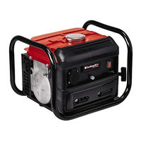 EINHELL TC-PG 1000 Manual De Instrucciones