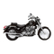 Motocicletas DAELIM DAYSTAR FI Manual Del Propietário