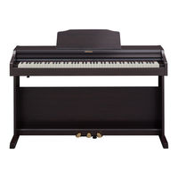 Roland RP501R Manual Del Usuario