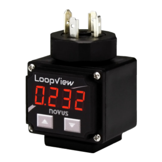 Novus LOOPVIEW-N Manual De Instrucciones
