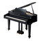 Roland RG-3