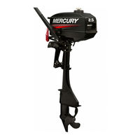 Mercury GO BOLDLY TwoStroke 3.3 Manual Del Usario