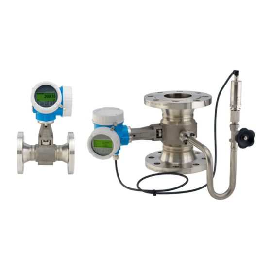 Endress+Hauser Proline Prowirl F 200 Manual De Instrucciones Abreviado