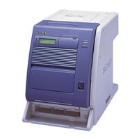 Sony UP-DR100 Manual De Instrucciones