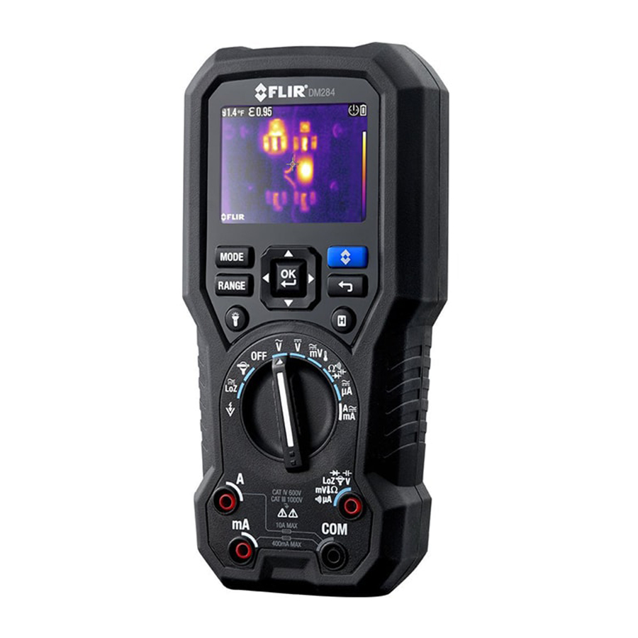 flir DM284 Manual Del Usuario