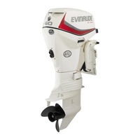 Evinrude E225DPLIS Manual De Instrucciones