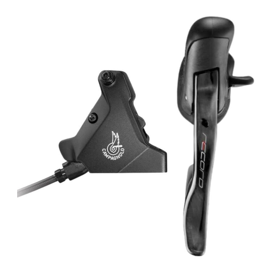 CAMPAGNOLO 11s Manual De Instrucciones