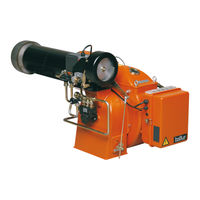 baltur BT 350 DSPG Manual De Instrucciones