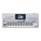 Yamaha Tyros 3