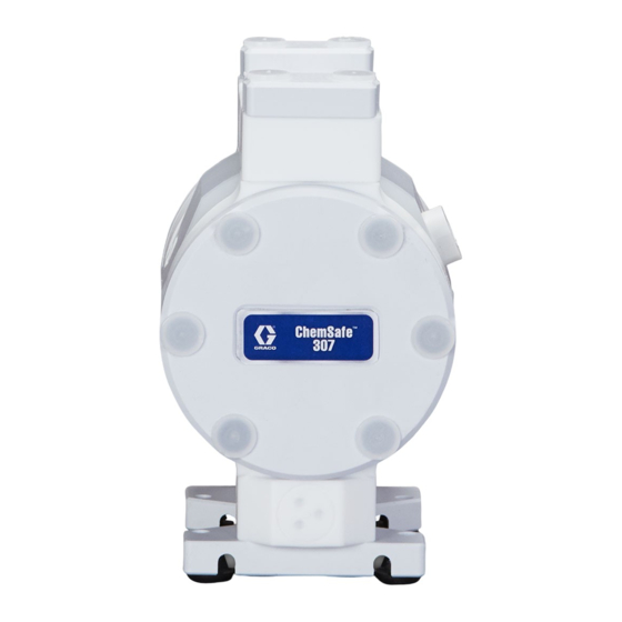 Graco ChemSafe 307 Instrucciones - Piezas
