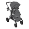 Cochecitos de Bebés Evenflo PIVOT XPAND Manual De Instrucciones