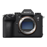 Sony ILCE-9M3 Guia De Ayuda