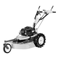 Grillo CL62 Manual De Instrucciones