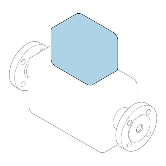 Endress+Hauser Proline 200 HART Manual De Instrucciones Abreviado