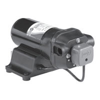 Xylem Jabsco 42755-0092 Manual De Instrucciones