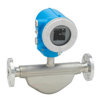 Endress+Hauser Proline Promass K 10 Manual Del Usuario