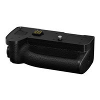 Panasonic LUMIX DMW-BG1 Instrucciones De Funcionamiento