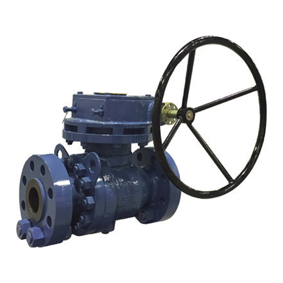 Emerson KTM VIRGO Serie Instrucciones De Instalación, Uso Y Mantenimiento