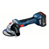 Bosch Professional GWX 180-LI Manual Original