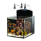 Aqua Medic BLENNY