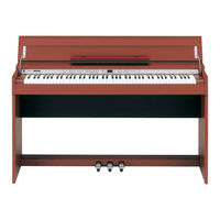 Roland DP-990 Manual Del Usuario