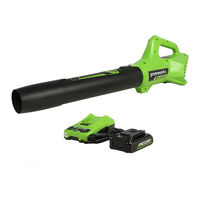 GreenWorks BL24B02 Manual Del Operador