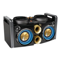 Philips NTRX100 Manual Del Usuario
