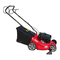 Cortacéspedes STERWINS EPL 424 TR Manual De Instrucciones