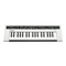 Yamaha Reface CS
