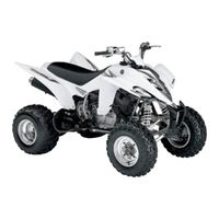 Yamaha RAPTOR 250 Manual Del Propietário