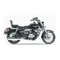 um RENEGADE COMMANDO CLASSIC 250 2022