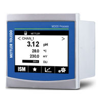 Mettler Toledo M400 Manual De Instrucciones