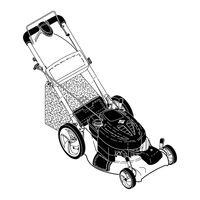 Mcculloch M53-675DWAE Manual De Instrucciones