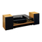Lenco LS-300 - Manual del tocadiscos