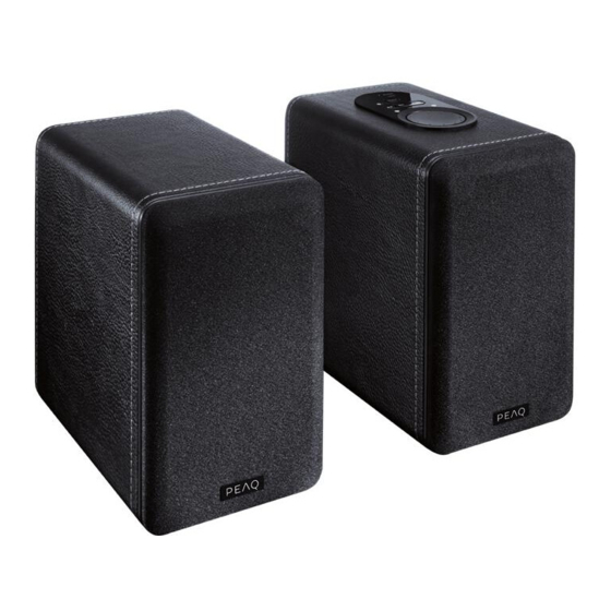 Peaq PPA100BT-B Manual De Instrucciones