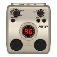 Zoom G1N Manual De Instrucciones