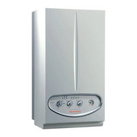 Immergas NIKE Mini 28 kW Special Manual De Instrucciones