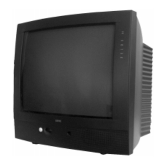Loewe Xelos M55 VT Manual Del Usuario