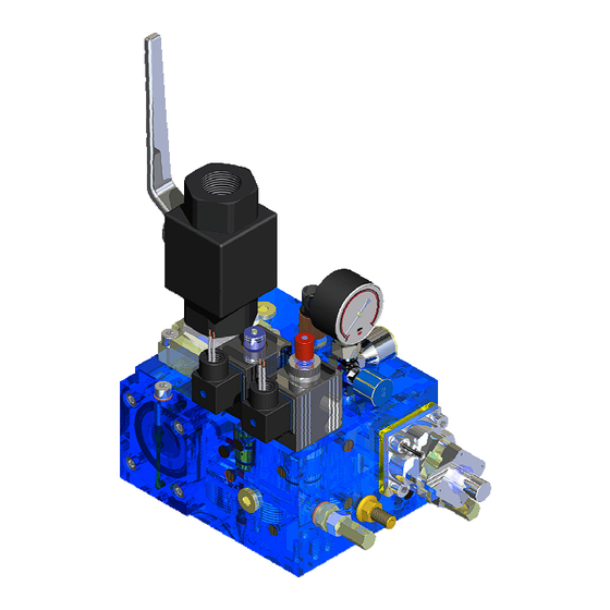 GMV NGV Manual De Instalación
