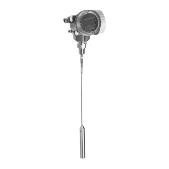 Endress+Hauser Levelflex FMP56 Manual De Instrucciones
