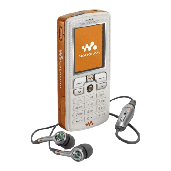 Sony Ericsson W800i Manual De Instrucciones
