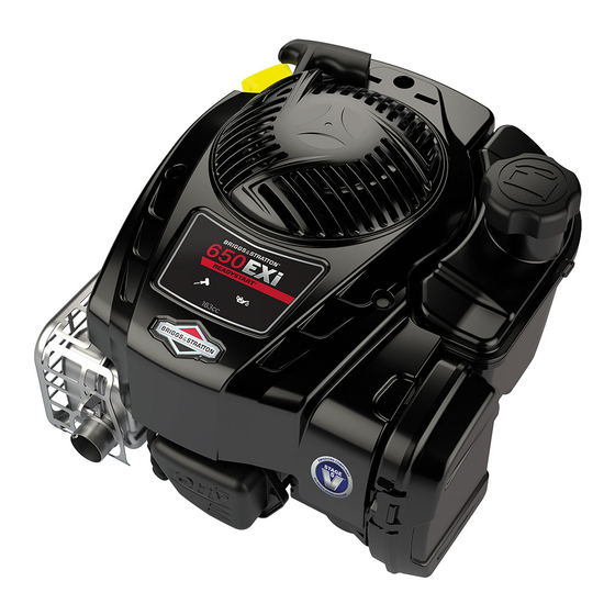 Briggs & Stratton Quantum 600 Serie Instrucciones De Mantenimiento & Operación