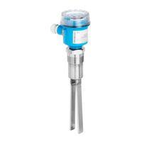 Endress+Hauser Soliphant M FTM50 Manual De Instrucciones