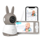 Manual de ieGeek Baby 1T
