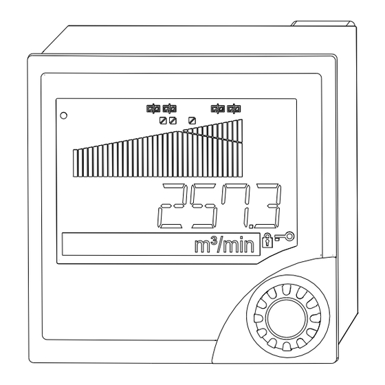 Endress+Hauser RIA452 Manual De Instrucciones