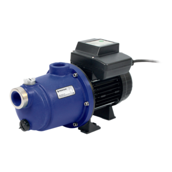 Pentair BLUEFLO Guia De Instalacion