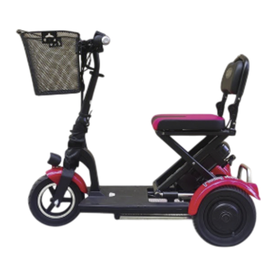 Fotona Mobility FOLDING 300W Manual De Instrucciones