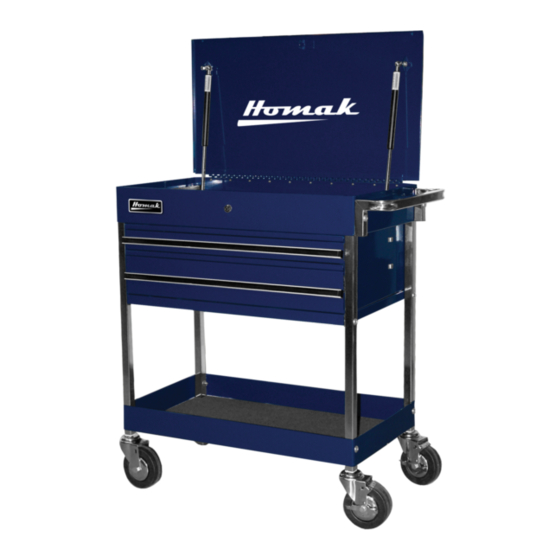 Homak Professional BL06034020 Manuales