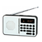 Radio Daewoo DRP-122 Manual De Instrucciones