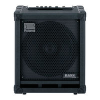 Roland CUBE-100 BASS Manual Del Usuario